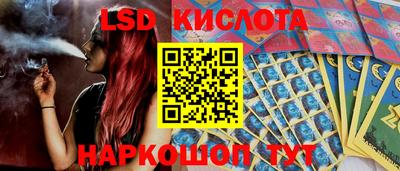 прущие грибы Шахты