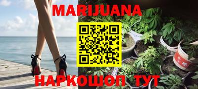 прущие грибы Шахты