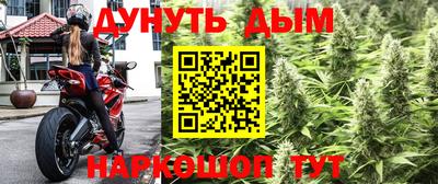прущая мука Шебекино