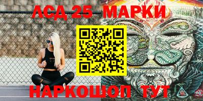 прущие грибы Шахты