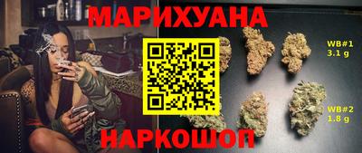 прущие грибы Шахты