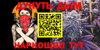 прущие грибы Шахты